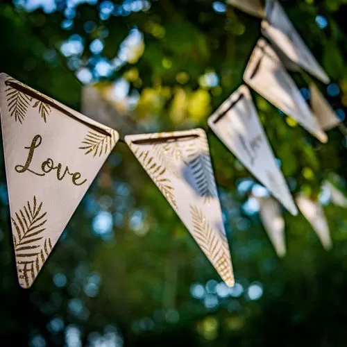 70fad678-7279-4d90-9cc7-07b16c33e941_2